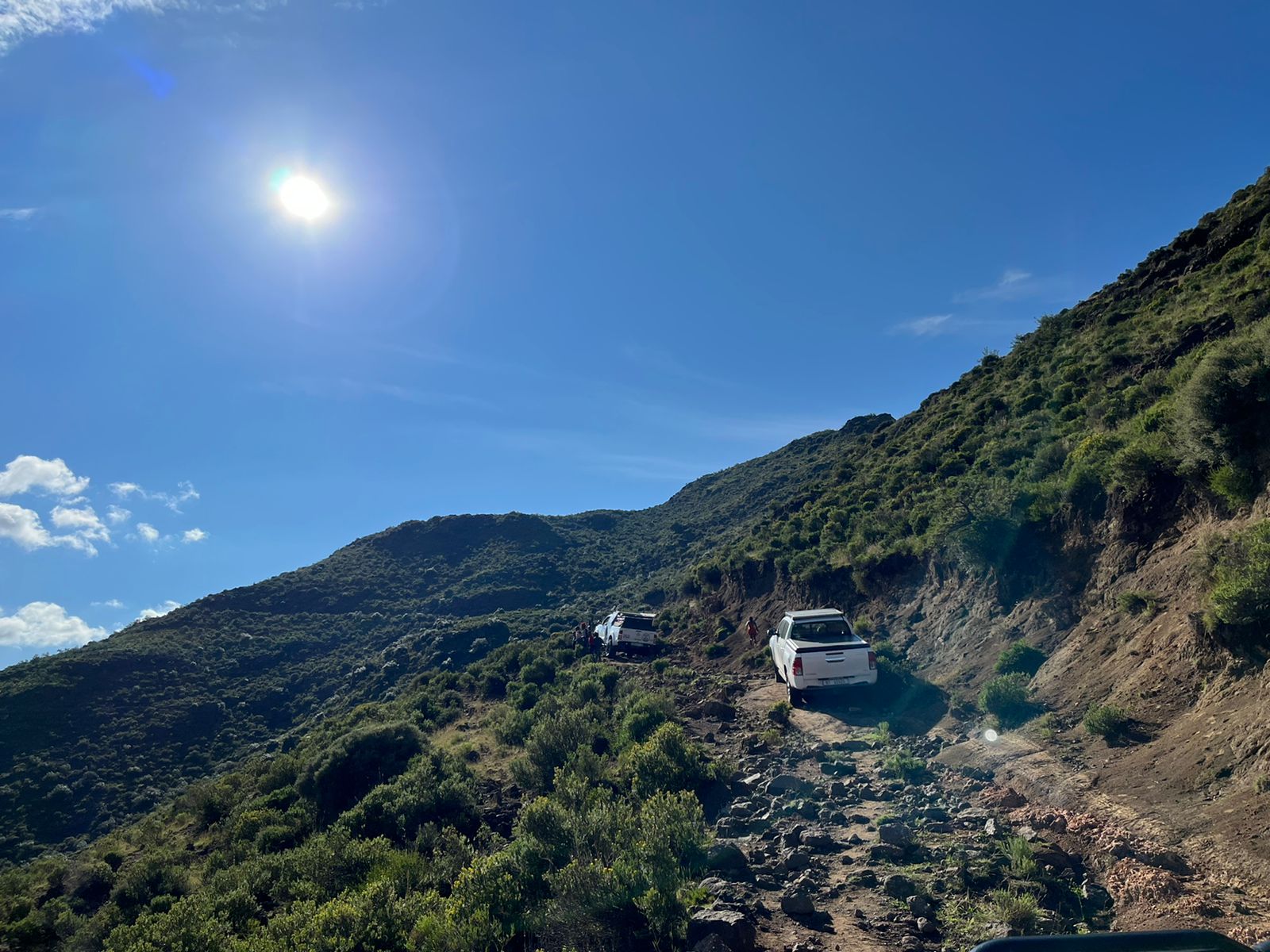 7f8ce962-6de2-4a9a-b7de-23cb6b8ca882